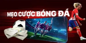 Kinh Nghiệm Chinh Phục Cá Cược Bóng Đá VN88 Hiệu Quả Nhất