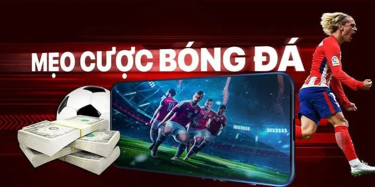 Kinh Nghiệm Chinh Phục Cá Cược Bóng Đá VN88 Hiệu Quả Nhất
