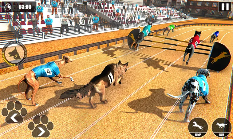 Bí Quyết Chinh Phục Game Nhanh Đua Chó Tại VN88 Trong 6 Bước 2 Bí Quyết Chinh Phục Game Nhanh Đua Chó Tại VN88 Trong 6 Bước