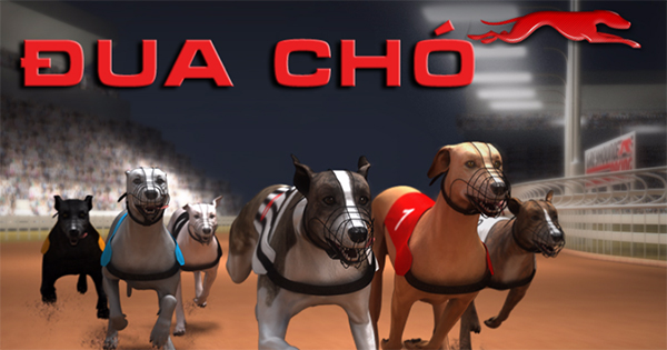 Khám Phá Kinh Nghiệm Thắng Lớn Với Game Nhanh VN88